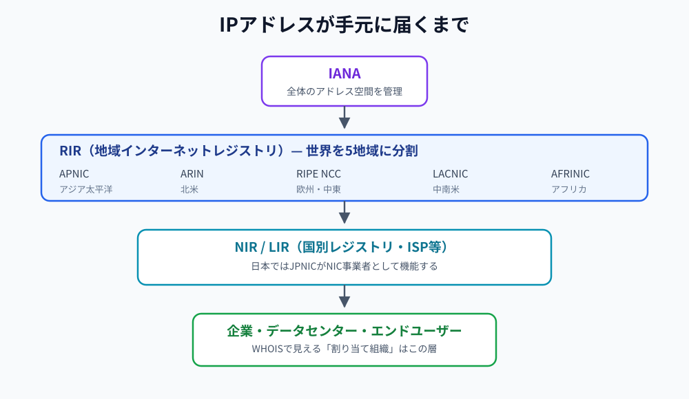 IANAを頂点に、APNIC・ARIN・RIPE NCC・LACNIC・AFRINICの5つのRIR、NIR/LIR、エンドユーザーへと配分される階層構造の図